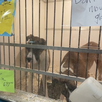 Jack's Pet Center - Pet Stores Near Me - Great Falls, Montana Jack's Pet Center - Pet Stores Near Me - Great Falls, Montana