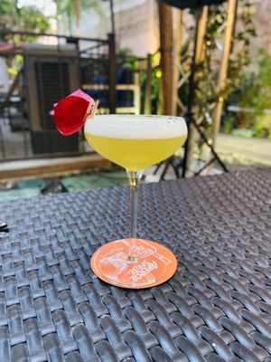 SOHO Garden HTX by null