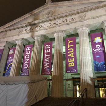 Shedd Aquarium - Aquariums Near Me - Chicago, Illinois