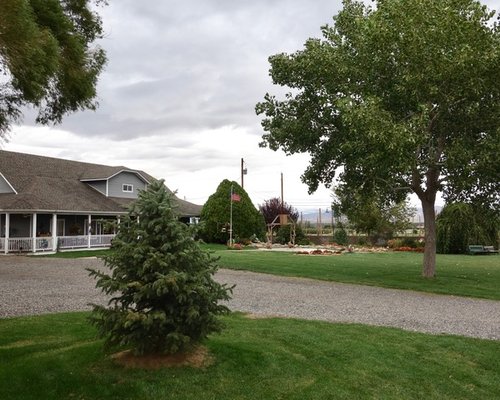 Mountain View Farm by null