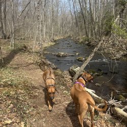 Paws Claws and Hooves Pet Sitting