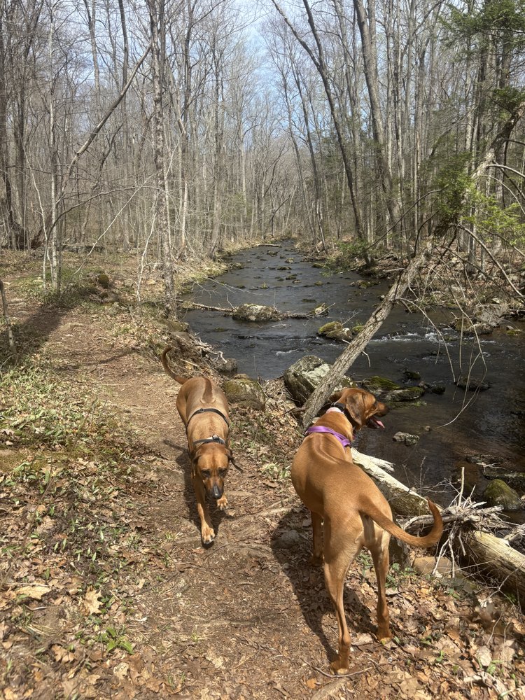Paws Claws and Hooves Pet Sitting - pet boarding facility in Durham, CT