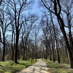 Four Mile, McMullen, and Lower McAlpine Creeks Greenways