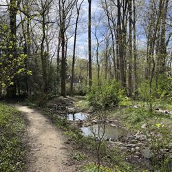 Spring Valley Park