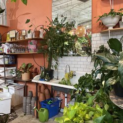 Rewild in Washington, DC gift card