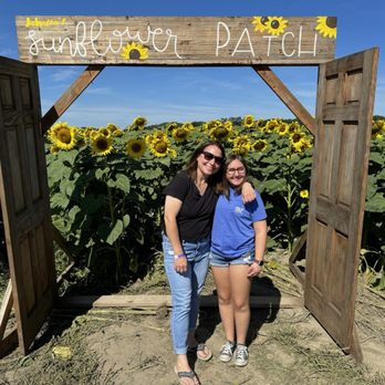 Johnson's Farm Produce - Photo Op at Sunflower Field. - Fruits & Veggies Near Me - Hobart, Indiana