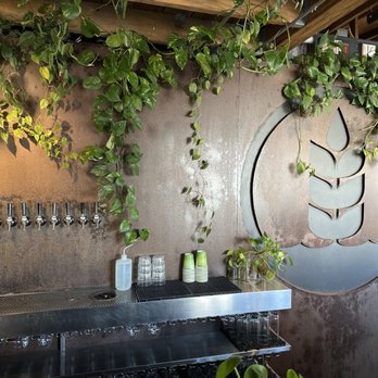 Pure Project - Carlsbad - Breweries Near Me - Carlsbad, California Pure Project - Carlsbad - Breweries Near Me - Carlsbad, California