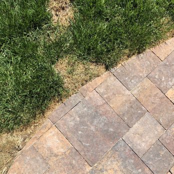 Landscape Creations - This is what Tim describes as random spots where the dogs peed in the yard in symmetrical patterns - Irrigation Near Me - Las Vegas, Nevada Landscape Creations - This is what Tim describes as random spots where the dogs peed in the yard in symmetrical patterns - Irrigation Near Me - Las Vegas, Nevada
