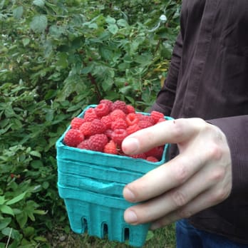 Old Frog Pond Farm - Raspberry - Farmers Market Near Me - Harvard, Massachusetts
