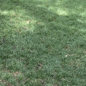 San Dimas Dog Park - Nice and open space for many to play! - Dog Parks Near Me - San Dimas, California