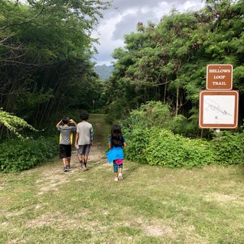Bellows AFB Campgrounds - Short Hiking trail - Campgrounds Near Me - Waimanalo, Hawaii