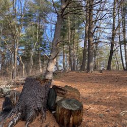 Jennie Lagoulis Reservation