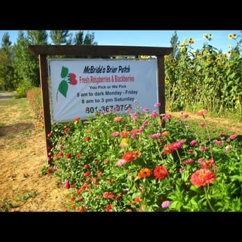 McBride Briar Patch - Sign and times - Do-It-Yourself Food Near Me - Mapleton, Utah