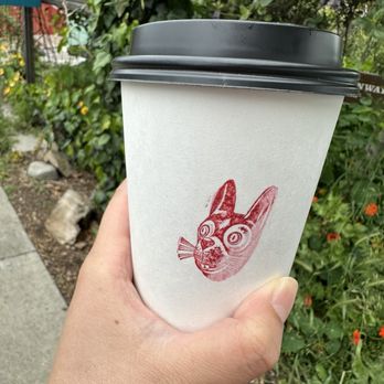 Coffee Conscious - Coffee & Tea Near Me - Berkeley, California