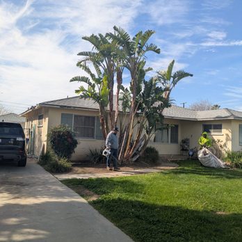 HLI Tree Experts - Tree Services Near Me HLI Tree Experts - Tree Services Near Me
