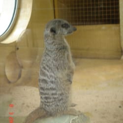 Zoo la Palmyre - Mon meilleur profil !