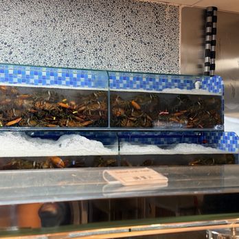 Grand Harvest - Lobsters - Sushi Bars Near Me - Oldsmar, Florida Grand Harvest - Lobsters - Sushi Bars Near Me - Oldsmar, Florida