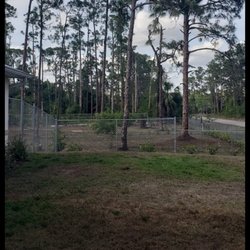Lance Reinoehl Fencing