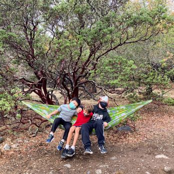 Bothe-Napa Valley State Park - A hammock in the woods. - Parks Near Me - Calistoga, California Bothe-Napa Valley State Park - A hammock in the woods. - Parks Near Me - Calistoga, California