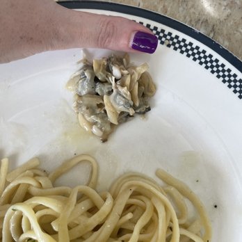 The Olive Restaurant - $22 meal??? - Italian Near Me - Sewell, New Jersey The Olive Restaurant - $22 meal??? - Italian Near Me - Sewell, New Jersey