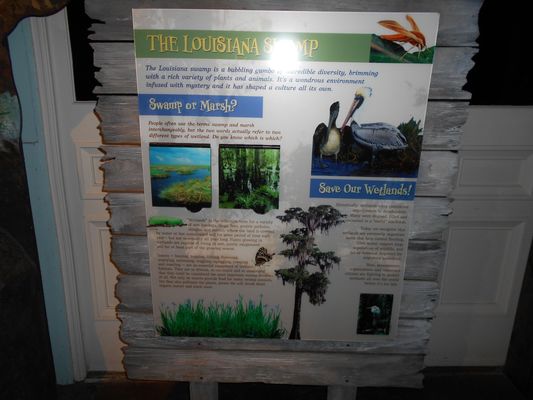 Audubon Insectarium by null