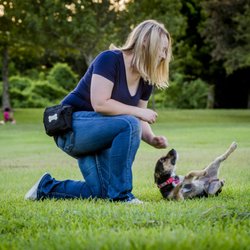Walks of Life Training