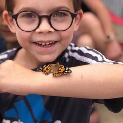 Parkside School - Butterfly Camp!