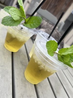 Oak Alley Plantation by null