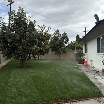 PrestigePro Landscape - Landscaping Near Me - Stanton, California PrestigePro Landscape - Landscaping Near Me - Stanton, California