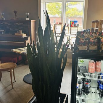 Tall Rabbit Cafe plus Community - Counter - Coffee & Tea Near Me - Fort Wayne, Indiana