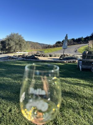 Bella Vineyards & Wine Caves by null