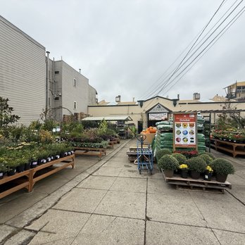 Sloat Garden Center - Outside - Nurseries & Gardening Near Me - San Francisco, California Sloat Garden Center - Outside - Nurseries & Gardening Near Me - San Francisco, California