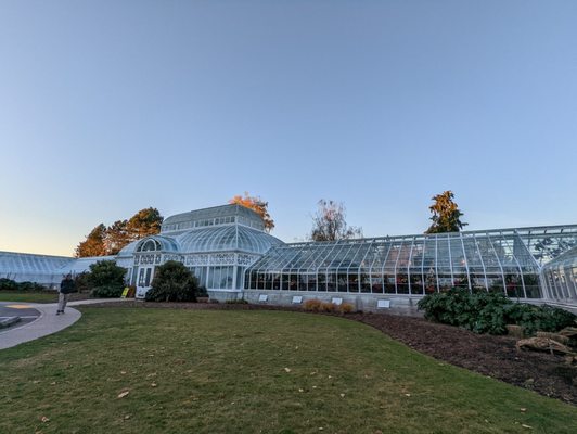 Volunteer Park Conservatory by null