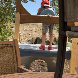 Sierra Honey Farm - Kids area June 2026