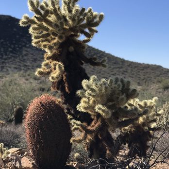 Lost Dog Wash Trail - Hiking Near Me - Scottsdale, Arizona Lost Dog Wash Trail - Hiking Near Me - Scottsdale, Arizona