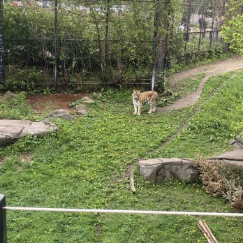 Como Park Zoo and Conservatory - Zoos Near Me - Saint Paul, Minnesota