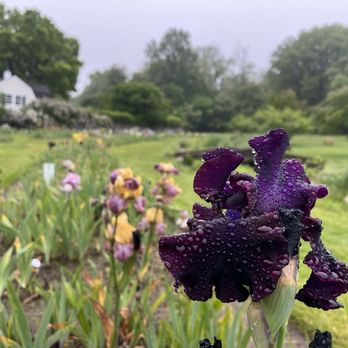Presby Memorial Iris Gardens - Home & Garden Near Me - Montclair, New Jersey Presby Memorial Iris Gardens - Home & Garden Near Me - Montclair, New Jersey
