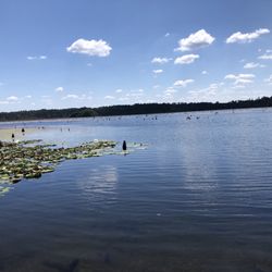 Seminole State Park - Beauty
