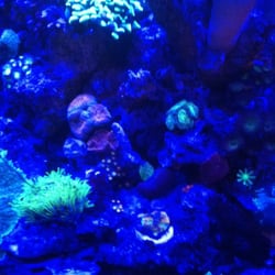 Aquascapes