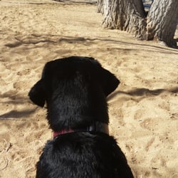 Sandstone Ranch Community Park - This is the res nearby Longmont.