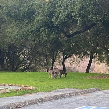Coyote Lake County Park - Parks Near Me - Gilroy, California