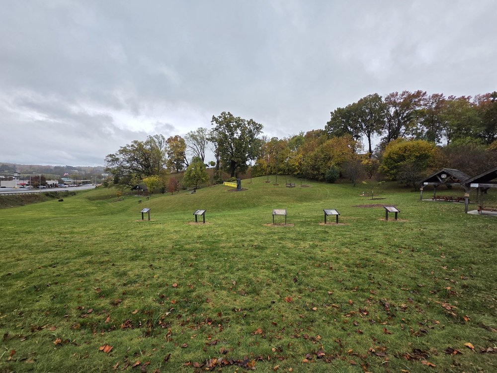 Abingdon Olive Oil Company Logo