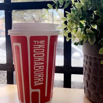 The Kookaburra - Coffee & Tea Near Me - St. Augustine, Florida The Kookaburra - Coffee & Tea Near Me - St. Augustine, Florida