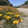 Verdugo Mountains gift card