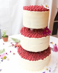 The Alternative Baker by null