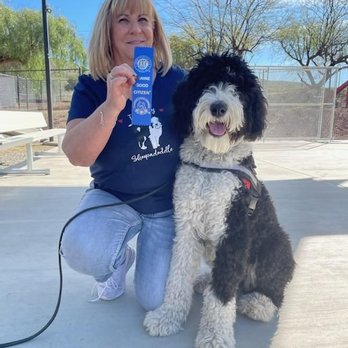 K9 Companions - Bella Pasted her CGC - Pet Training Near Me - Perris, California K9 Companions - Bella Pasted her CGC - Pet Training Near Me - Perris, California