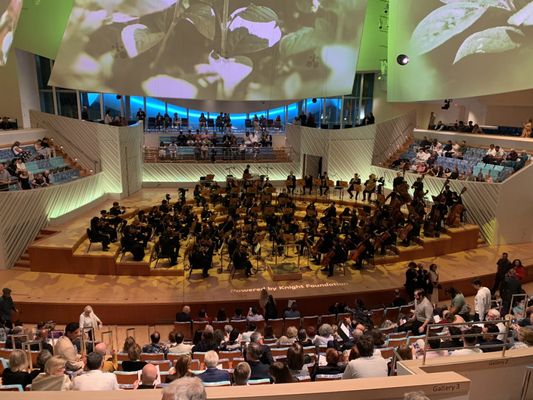 New World Center by null