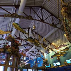 Bass Pro Shops