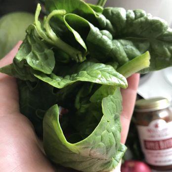 Philly Foodworks - Fresh spinach, tastes amazing - Farmers Market Near Me - Philadelphia, Pennsylvania