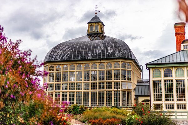Rawlings Conservatory by null